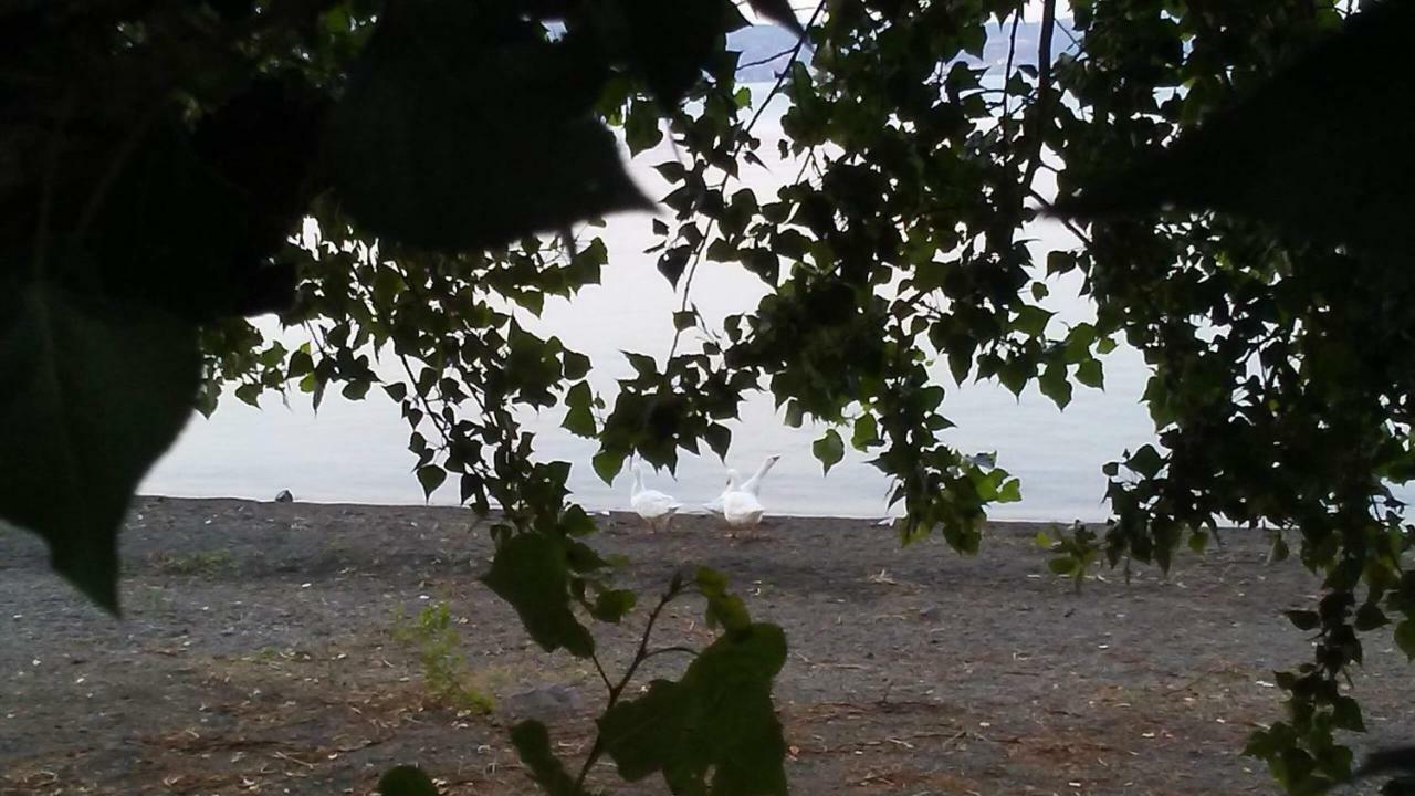 Alloggio Turistico D'Annunzio Bracciano  Exteriér fotografie